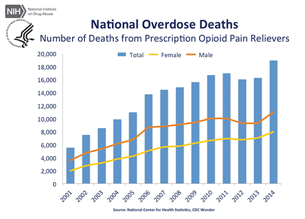 Source: Courtesy of National Institute on Drug Abuse. 