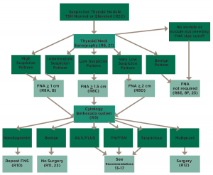 Figure 1. Algorithm for evaluation and management of patients with thyroid nodules based on US pattern and FNA cytology; several algorithms such as this one are available in the guidelines for quick reference to aid clinicians.