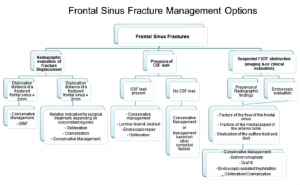 Figure 1. Algorithm for evaluation and management option of frontal sinus fractures.