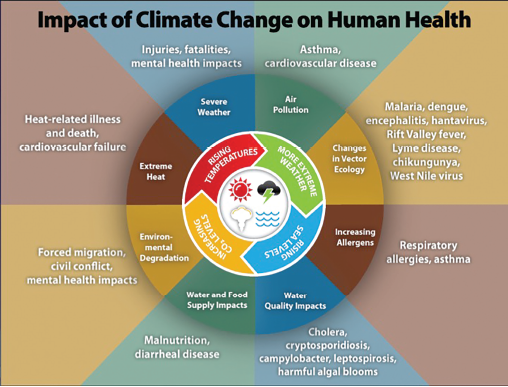 Source: Centers for Disease Control and Prevention. https://www.cdc.gov/climateandhealth/effects/default.htm